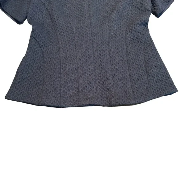 Ann Taylor Textured Knit Peplum Short Sleeve Top zippered Back Sz. M - Picture 6 of 13